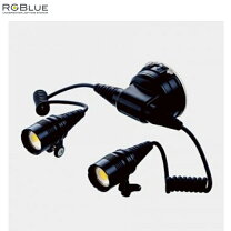 楽天市場】rgblue ライトモジュールの通販