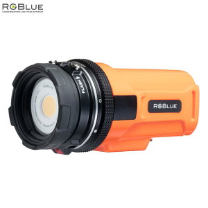 ダイビング用品 rgblue system02の人気商品・通販・価格比較 - 価格.com 