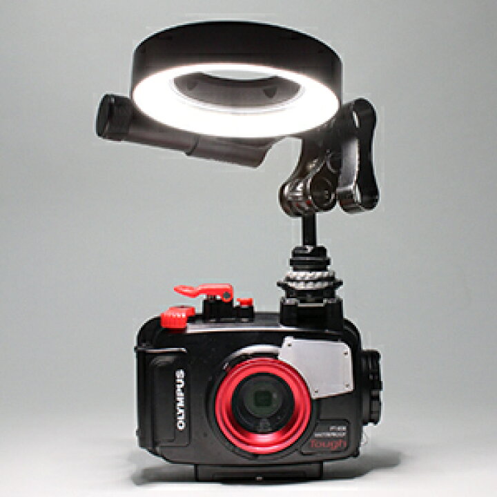 楽天市場】[ Fisheye ] フィッシュアイ WEEFINE WF リングライト1000 