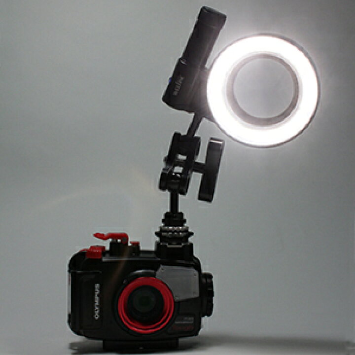 楽天市場】[ Fisheye ] フィッシュアイ WEEFINE WF リングライト1000 