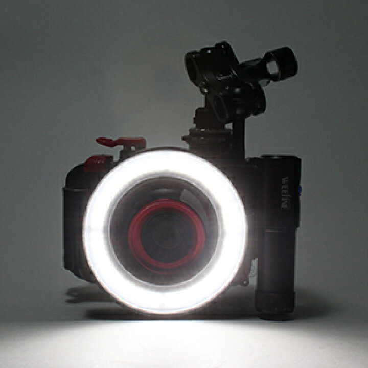 楽天市場】[ Fisheye ] フィッシュアイ WEEFINE WF リングライト1000 