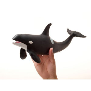 外遊び 水遊び シャチの人気商品 通販 価格比較 価格 Com
