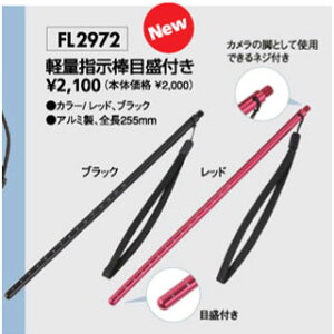 FL(GtG) FL2972 yʎw_ڐt
