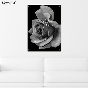 y10%OFF XԌ聦 11/5 18:00`11/16 23:59܂ŁIzA[gpl Ǌ| AN G   mN _  ̓ o H  ʐ^ l i p j[[N AJ 