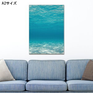 yubNtCf[ 10%OFF 11/20 20:00`11/27 01:59܂ŁIzA[gpl Ǌ| AN G   C C  LL u[ F  g r[` C T[t nC JN