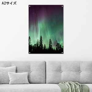 y3Ԍ聦 X |Cg10{I11/29`12/1܂ŁIzA[gpl Ǌ| AN G   k  I[ i Jt {^jJ [t A X X V V