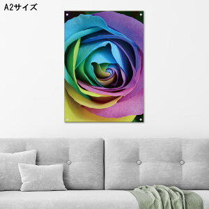 yubNtCf[ 10%OFF 11/20 20:00`11/27 01:59܂ŁIzA[gpl Ǌ| AN G    ̓ o KN  Jt |bv  A[g ^g  ԑ 