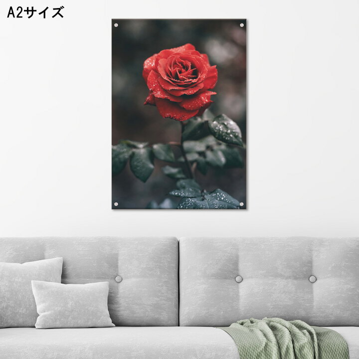 楽天市場 アートパネル おしゃれ 壁掛け 花 母の日 バラ 水滴 一輪 赤 レッド 風景 写真 アクリル 薔薇 真紅 押し花 ピンク 緑 花束 赤いバラ 一輪 スモーク 人気高級 オブジェ パネル アート 北欧 Mic楽天市場店