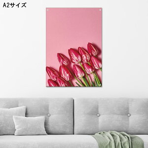 yubNtCf[ 10%OFF 11/20 20:00`11/27 01:59܂ŁIzA[gpl Ǌ| AN G   k _  ̓ `[bv sN ԑ ^g  pW[ `[