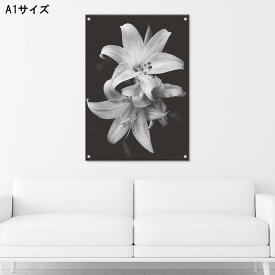 楽天市場 アートパネル 花 白黒の通販