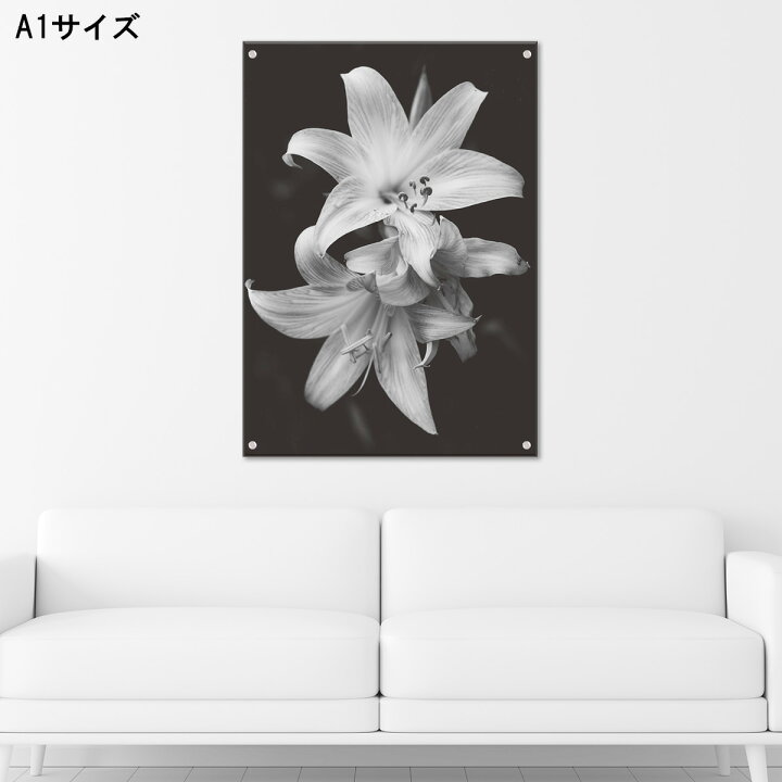楽天市場 アートパネル おしゃれ 壁掛け 白黒 モダン 花 ゆり アクリル 壁掛 シック 大人 モノクロ 風景 和 和モダン 写真 インテリア フラワー モデル 人気 都会 ビル 景色 ファブリックパネル高級 アクリル オブジェ パネル アート 北欧 Mic楽天市場店