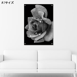 y10%OFF XԌ聦 11/5 18:00`11/16 23:59܂ŁIzA[gpl Ǌ| AN G   mN _  ̓ o H  ʐ^ l i p j[[N AJ 