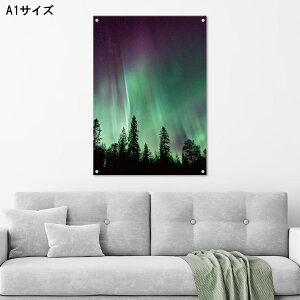 y3Ԍ聦 X |Cg10{I11/29`12/1܂ŁIzA[gpl Ǌ| AN G   k  I[ i Jt {^jJ [t A X X V V