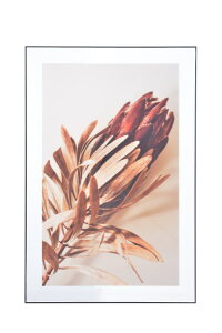 yz|Cg{ Ԍ聦 X[p[Z[Jn12/5܂ŁIzA[gpl Ǌ|  hCt[ 傫 H z܂ A bNX  k  _ f