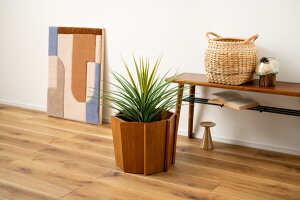 Ebhv^[ v^[ ؐ VR ~fB ꕨ Jo[ ϗtA  CeA CeAG   Vv uE fUC  G 킢  