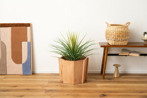 Ebhv^[ v^[ ؐ VR ~fB ꕨ Jo[ ϗtA  CeA CeAG   Vv i` fUC  G 킢  