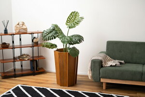 yz 50%OFF 艿iIyVX[p[Z[zEbhv^[ v^[ ؐ VR ~fB ꕨ Jo[ ϗtA  CeA CeAG   Vv 