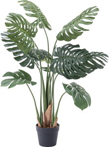 tFCNO[ ^  O[ Xe O lHϗtA  ق A k  _ fUC eCXg X^C JtF lC  ACe Ce