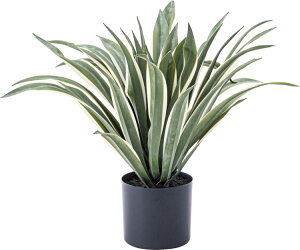 tFCNO[ ^  O[ AKy O lHϗtA  ق A k  _ fUC eCXg X^C JtF lC  ACe CeA 