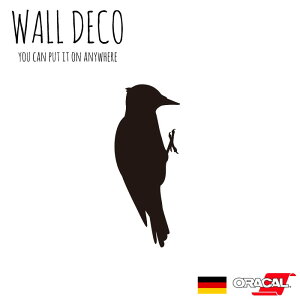 EH[XebJ[ MTCY LccL  eCIELccL  XCb` RZg  lC 킢 ʔ VGbg V[ DIY fR[V ] CeA  t