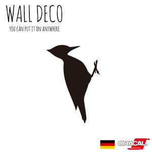 EH[XebJ[ LccL   Aj} AJQ XCb` RZg  lC 킢 ʔ VGbg V[ DIY fR[V ] CeA  tH[ A