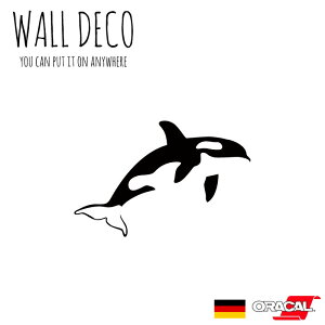 EH[XebJ[ V`  CJ  NW XCb` RZg  lC 킢 ʔ VGbg V[ DIY fR[V ] CeA  tH[ A