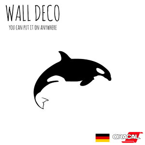 EH[XebJ[ V`  C  NW M XCb` RZg  lC 킢 ʔ VGbg V[ DIY fR[V ] CeA  tH[ 