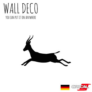 EH[XebJ[ LTCY K[  g\K[ 쐶 Ju XCb` RZg  lC 킢 ʔ VGbg V[ DIY fR[V ] CeA  