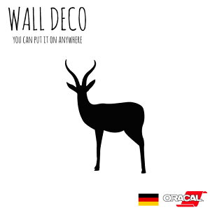 EH[XebJ[ LTCY K[  Tt@ giJC gazelle XCb` RZg  lC 킢 ʔ VGbg V[ DIY fR[V ] CeA  tH