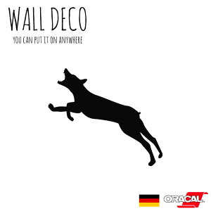 EH[XebJ[ MTCY h[x}  ^ R[ v[h XCb` RZg  lC 킢 ʔ VGbg V[ DIY fR[V ] CeA  