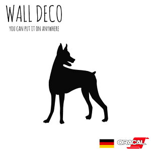 EH[XebJ[ MTCY h[x}   uh[ ֖ XCb` RZg  lC 킢 ʔ VGbg V[ DIY fR[V ] CeA  t