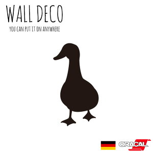 EH[XebJ[ MTCY Aq J _bN   duck Z XCb` RZg  lC 킢 ʔ VGbg V[ DIY fR[V ] CeA  tH