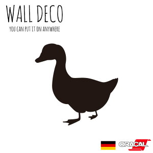 EH[XebJ[ LTCY Aq J _bN  Aq{[g XCb` RZg  lC 킢 ʔ VGbg V[ DIY fR[V ] CeA  t