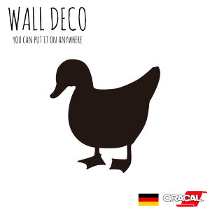 EH[XebJ[ MTCY Aq J _bN  r duck Z XCb` RZg  lC 킢 ʔ VGbg V[ DIY fR[V ] CeA  tH