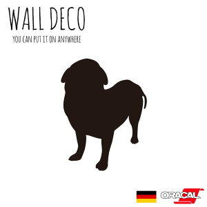 EH[XebJ[ `  r[O ^ ybg  XCb` RZg  lC 킢 ʔ VGbg V[ DIY fR[V ] CeA  tH[ 