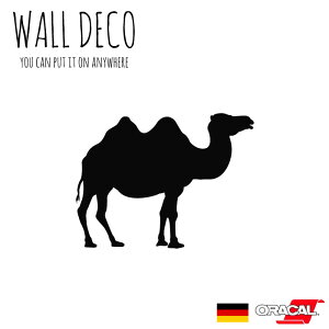 EH[XebJ[ LTCY N_@ L  qgRu XCb` RZg  lC 킢 ʔ VGbg V[ DIY fR[V ] CeA  t