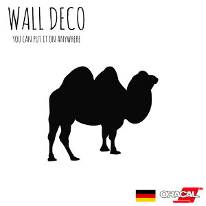 EH[XebJ[ N_@ L  t^Ru XCb` RZg  lC 킢 ʔ VGbg V[ DIY fR[V ] CeA  tH[ A