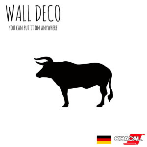 EH[XebJ[ LTCY  u  I[bNX 쐶 XCb` RZg  lC 킢 ʔ VGbg V[ DIY fR[V ] CeA  tH[ 