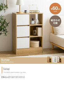 Lrlbg ot 60cm B[ [ X݌v Ղ[ [I k  _ fUC Vv V l炵    X I[v 