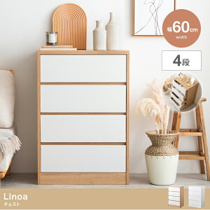 `FXg [ o Vv k  RpNg  l炵 V CeA  i` zCg  m [ I[V[Y ߗ 4i g e