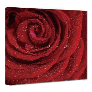 CeA A[gpl L[tbN EH[tbN Ǌ|tbN |  A g i` ZsA mX^WbN  킢 o `[bv 莆   `  