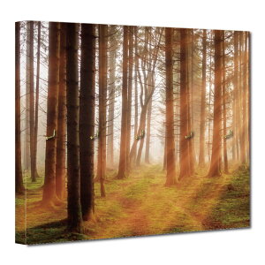 CeA A[gpl L[tbN EH[tbN Ǌ|tbN | Vv i`  i iF  R H gt X ؘR [ [Ă X  t  `  