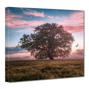 CeA A[gpl L[tbN EH[tbN Ǌ|tbN | i` w  CO O i iF R  [ [Ă b  n[g    ؐ`  