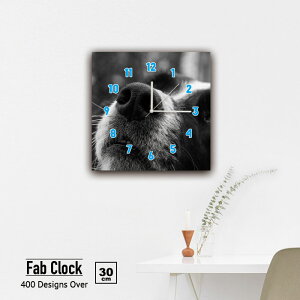 y10%OFF XԌ聦 11/5 18:00`11/16 23:59܂ŁIzCeA v  Ǌ| G pl ybg  񂿂 q pO uhbO S[fgo[ S[f {NT[