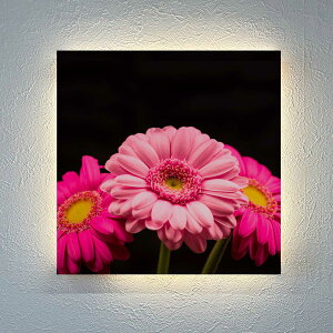 �C���e���A �ԐڏƖ� ������� �� �A�[�g�p�l�� �� �Ǌ|�� ���_�� �k�� �Q�� ���� ���C�g �Ɩ� �o�� �t�����[ ���[�Y �s���N �K�[�x�� �ԕ� �ԑ� �Ԃт� ���z�� �K�N �^�g �؍��C���e���AUSB �d