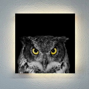 y!z 50%OFF! X[p[Z[Ԍ聦zCeA ԐڏƖ Q    A[gpl _ mN mg[  Cg Ɩ  LED ؍eA j[[N t