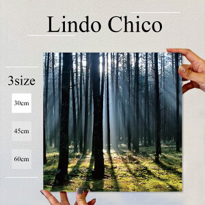 y10%OFF XԌ聦 11/5 18:00`11/16 23:59܂ŁIzCeA G  G Ǌ| A[gpl i iF ʐ^ R  X X ؘR   k fUC t@ubN 