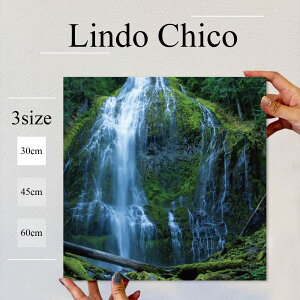 y3Ԍ聦 X |Cg10{I11/29`12/1܂ŁIzCeA G  G Ǌ| A[gpl i iF ʐ^ R    X C AJ k fUC A