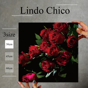 CeA G  A[gpl G  Ǌ| t[ KN [Y ԕ A o ԃo  k fUC t@ubN Ǐ ` t@ubNplLindo Chico 30cm