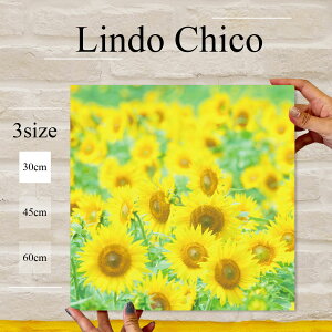 y10%OFF XԌ聦 11/5 18:00`11/16 23:59܂ŁIzCeA G  A[gpl G  Ǌ| t[  Ԃт ԕ A Ђ܂ Ԕ 킢 k fUC A[g 